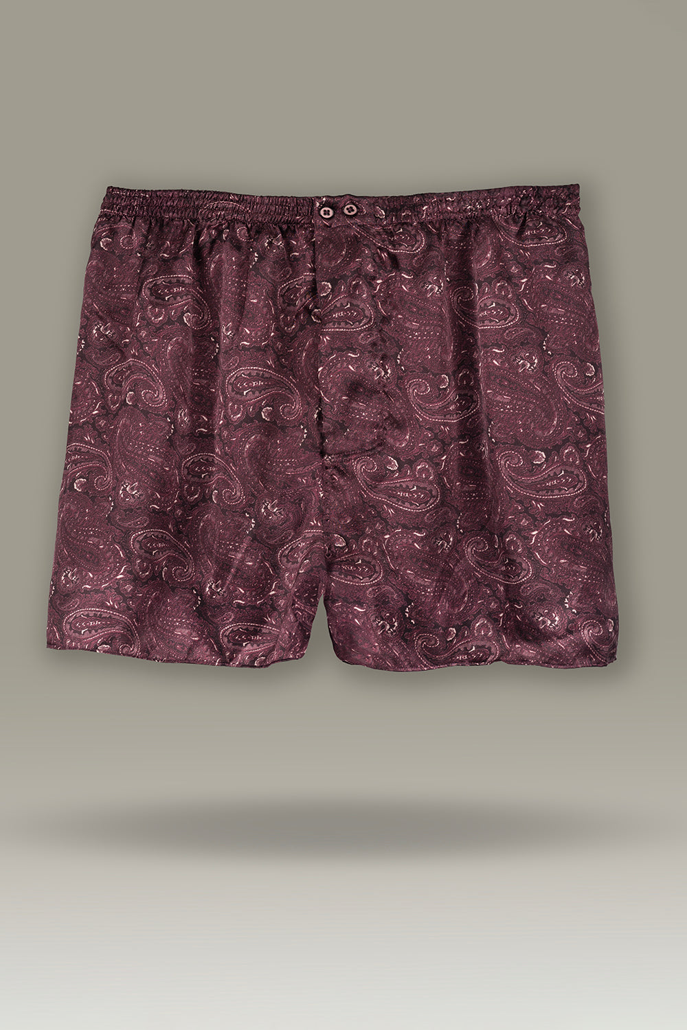 Etro Damson Klasik İpek Boxer